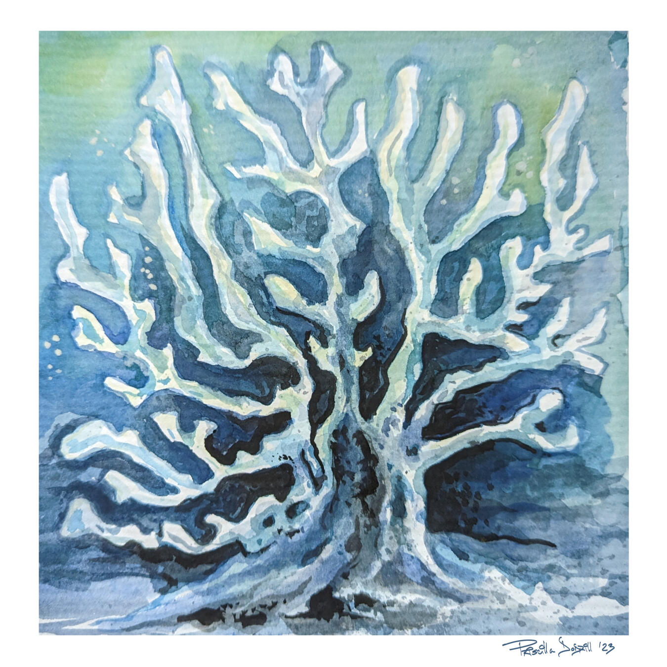 Blue Coral